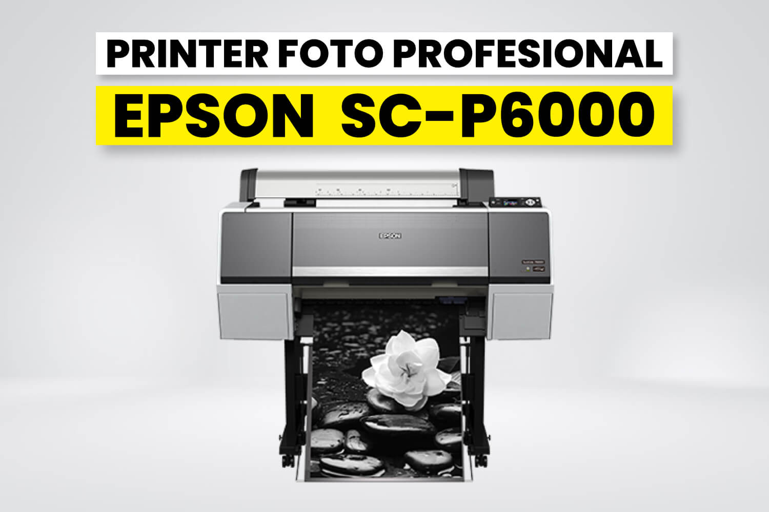 Printer Foto Profesional Epson Surecolor Sc-P6000 2 Laysander